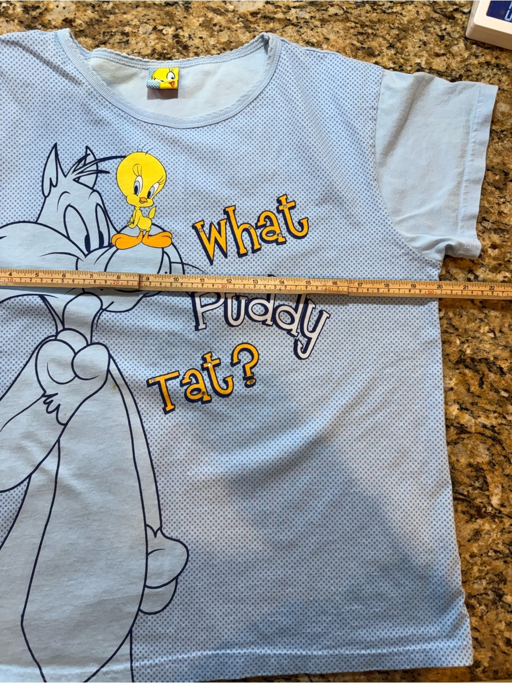 LOONEY TUNES Blue vintage Tweety Bird Sylvester SleepWear shirt no sz tag - Picture 2 of 5